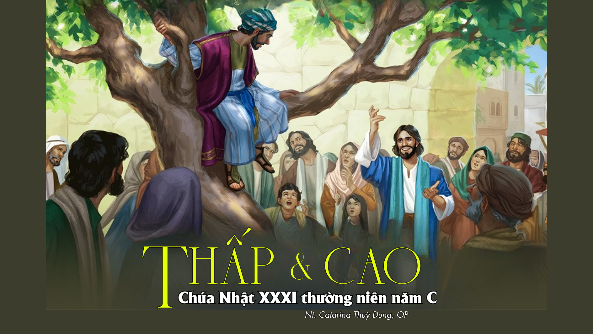 Thấp và cao: Chúa Nhật XXXI thường niên năm C (Sr. Thuỳ Dung)